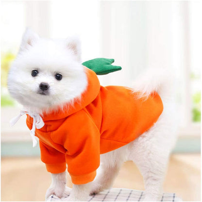 Party Dog Hoodie™