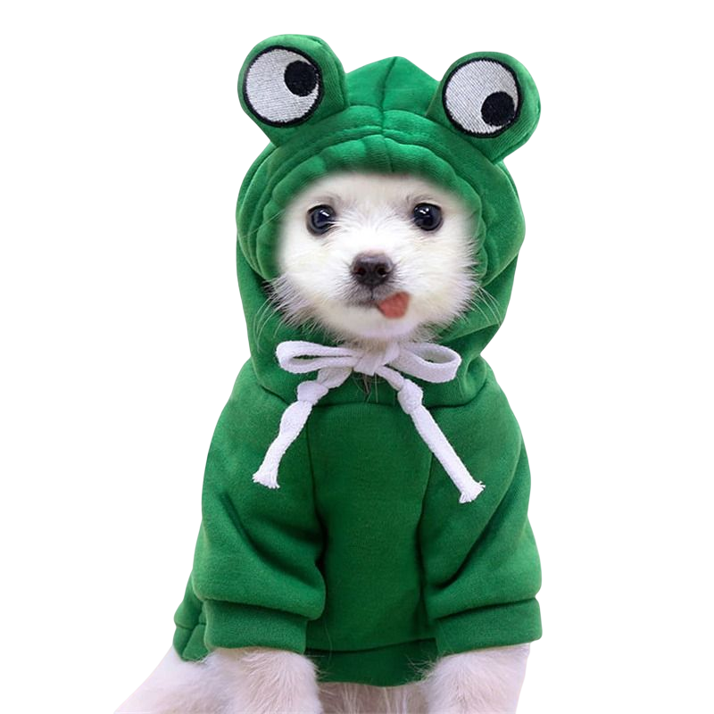 Party Dog Hoodie™